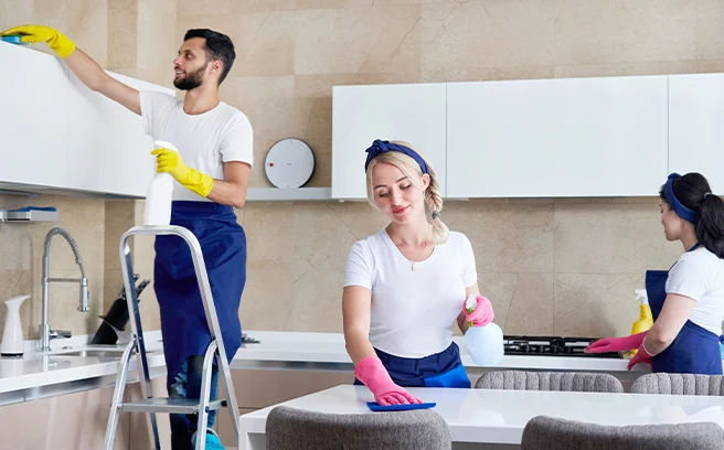 Domestic Cleaning Services